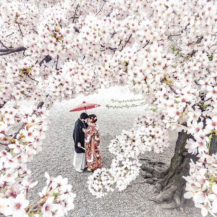 自然光を活かしたブライダルフォト ウエディングフォト 結婚式写真フォトフォリー