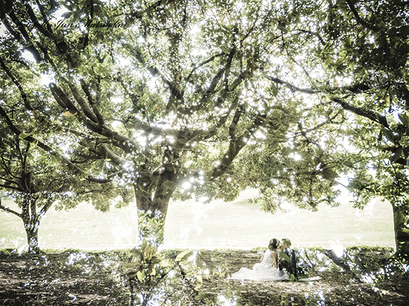 結婚式前撮り　横浜での前撮り　ブライダルフォト　根岸森林公園　森林シルエット多重露出