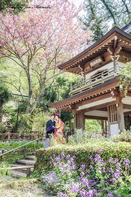 鎌倉浄智寺で和装結婚式前撮り　和装でウエディングフォト　鎌倉前撮り　浄智寺桜と