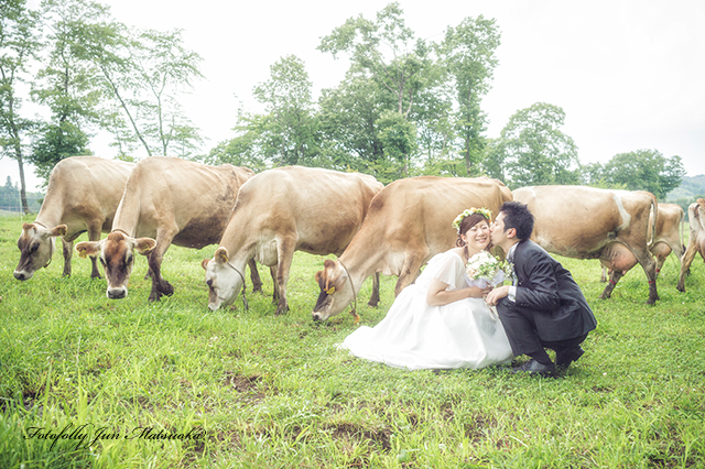 那須高原で結婚式前撮り　フォトウエディング　リゾートウエディング　那須動物と前撮り　ジャージー牛と撮る