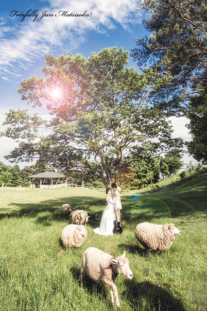那須高原で結婚式前撮り　フォトウエディング　リゾートウエディング　那須動物と前撮り　羊と写真　那須動物王国
