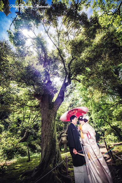 和装前撮り　横浜前撮り　白無垢　赤ふき　ウエディングカメラマン　三渓園で前撮り　和装　鶴翔閣庭　和傘