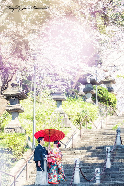 和装前撮り　東京都内　桜と前撮り　桜ロケーションフォト　フォトウエディング　色打掛　前撮り出張カメラマン　階段で
