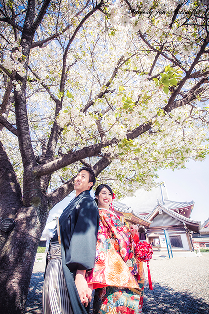 和装前撮り　東京都内　桜と前撮り　桜ロケーションフォト　フォトウエディング　色打掛　前撮り出張カメラマン　桜の木の下で