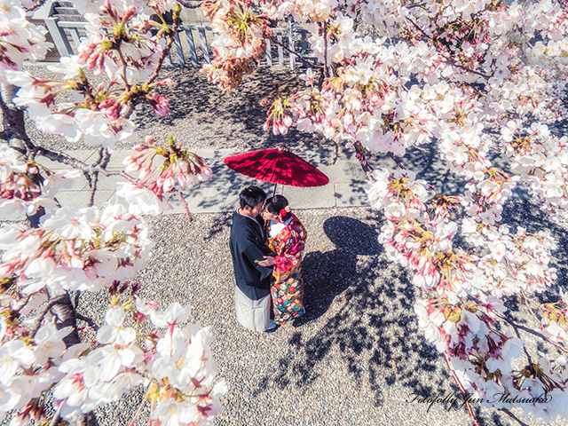 和装前撮り　東京都内　桜と前撮り　桜ロケーションフォト　フォトウエディング　色打掛　前撮り出張カメラマン　撮り下ろし