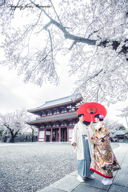 東京都内和装前撮り　ブライダルフォト　色打掛　前撮り和装　前撮りカメラマン　桜で前撮り　庭