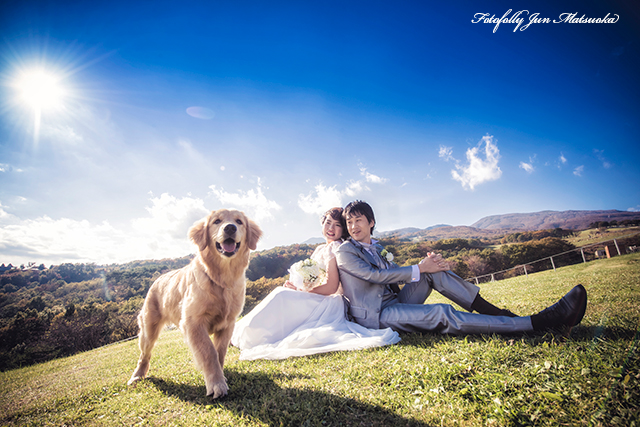 那須高原で結婚式前撮り　那須フォトウエディング　どうぶつ王国でフォトウエディング　アルパカとウエディングフォト　犬と