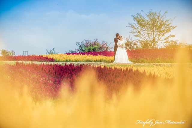 那須高原で結婚式前撮り　那須フォトウエディング　フラワーパーク　黄色い花