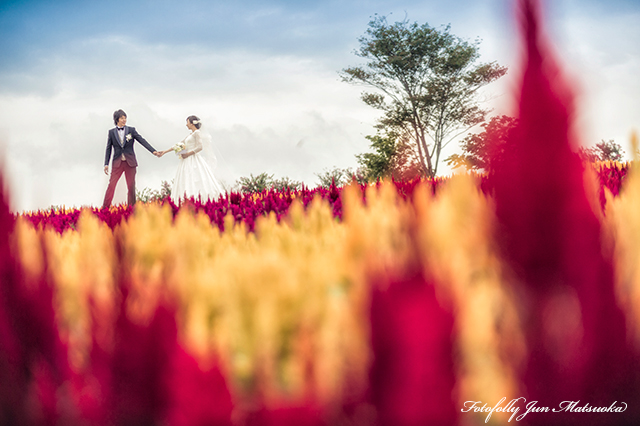 那須高原で結婚式前撮り　那須フォトウエディング　フラワーパーク　赤い花