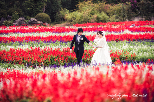 那須高原で結婚式前撮り　那須フォトウエディング　フラワーパーク　花畑を散歩する
