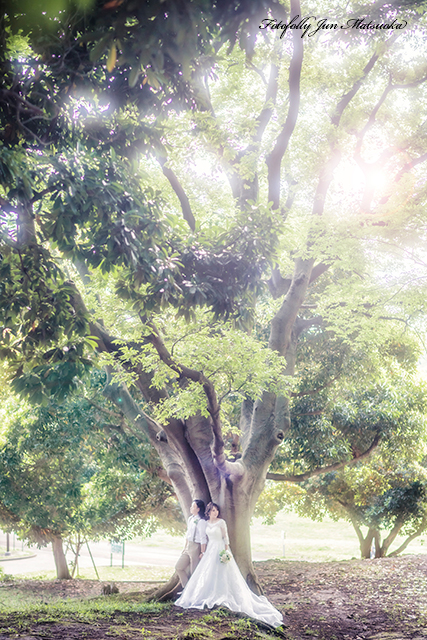 前撮り　根岸森林公園で前撮り　フォトウェディング　公園前撮り　横浜で前撮り　木と二人