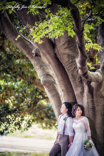 前撮り　根岸森林公園で前撮り　フォトウェディング　公園前撮り　横浜で前撮り　木と二人アップ